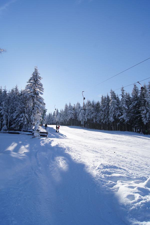 Villa-Unger Altenberg Eksteriør billede