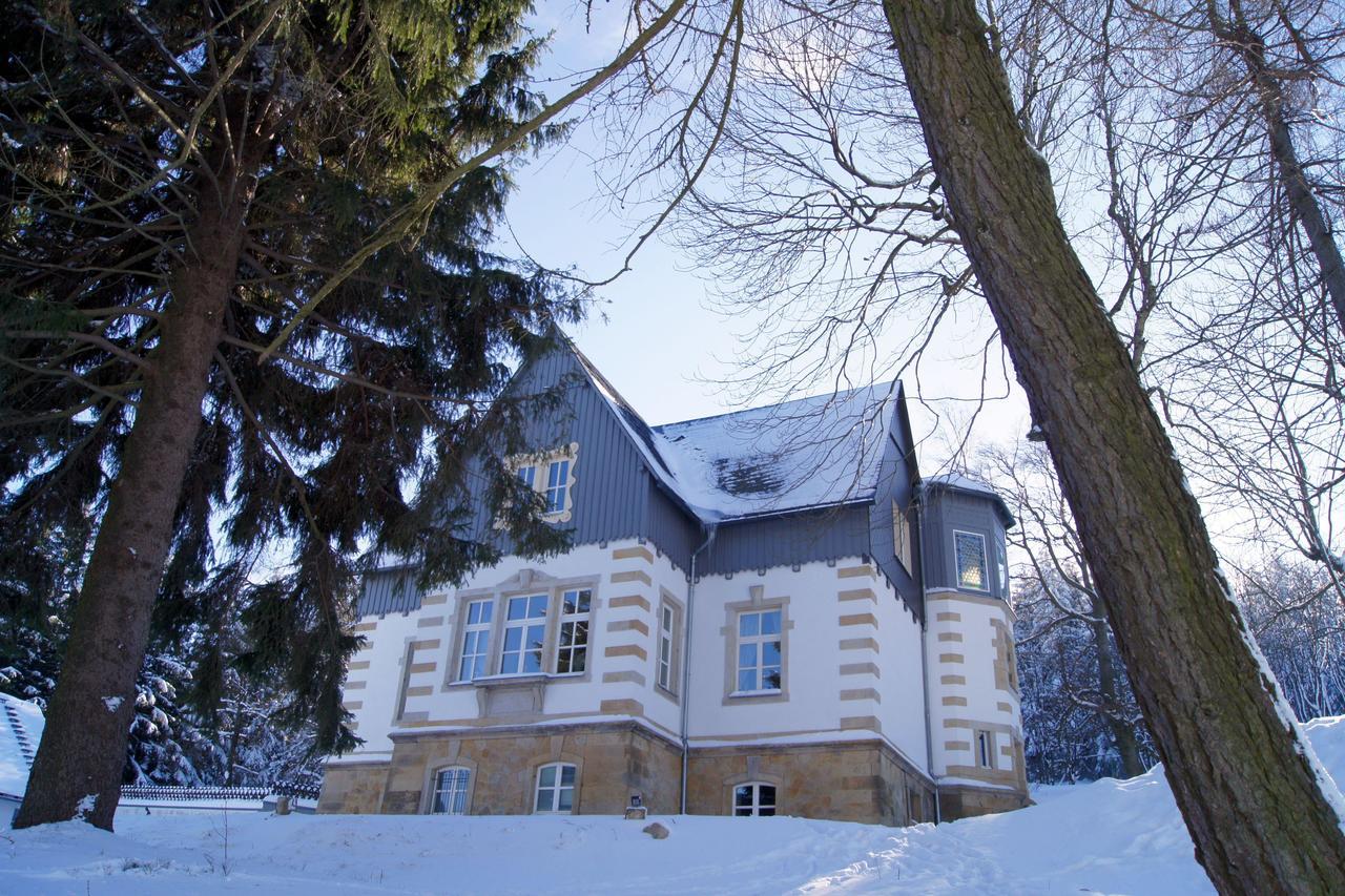 Villa-Unger Altenberg Eksteriør billede