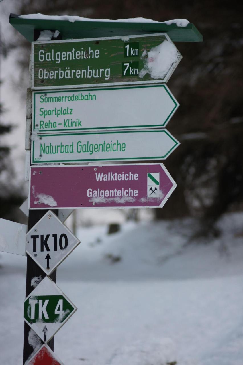 Villa-Unger Altenberg Eksteriør billede
